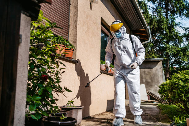 Best Pest Control Near Me  in York, PA