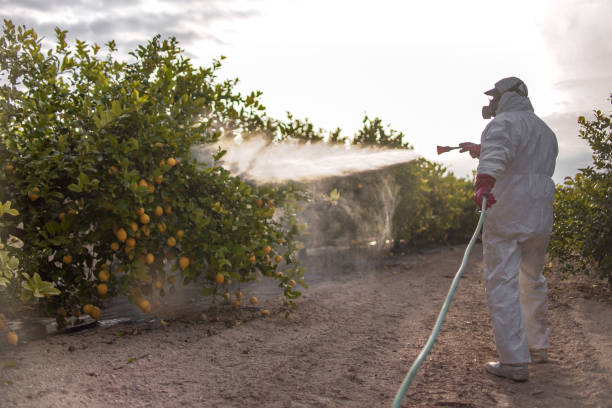  York, PA Pest Control Pros