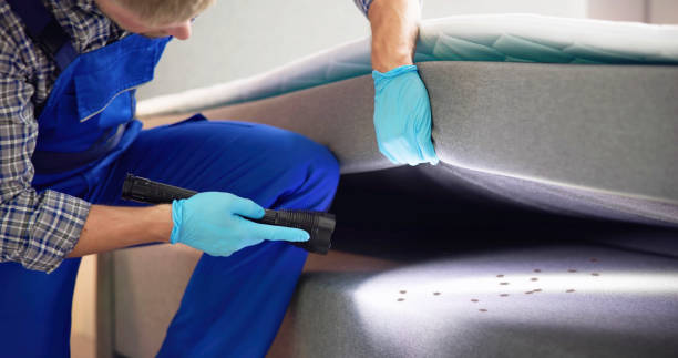 Best Wasp Removal Services  in York, PA